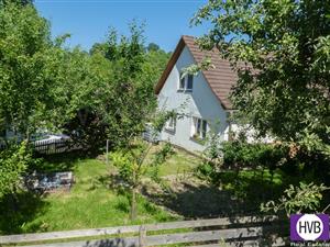 photo_6