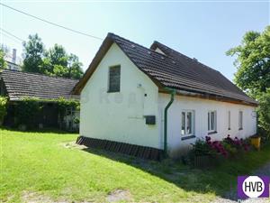 photo_3