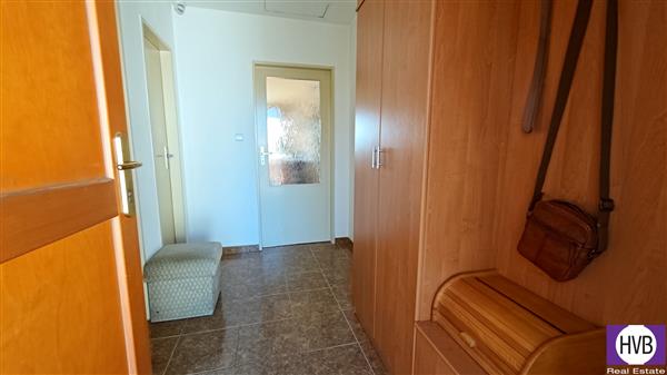 photo_11