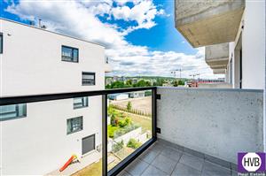 photo_6