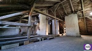 photo_4