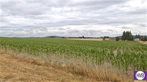 photo_5