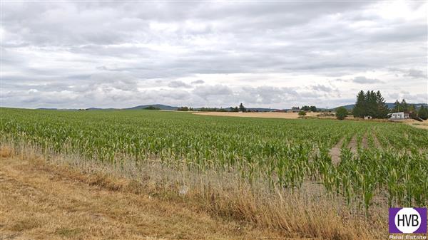 photo_5