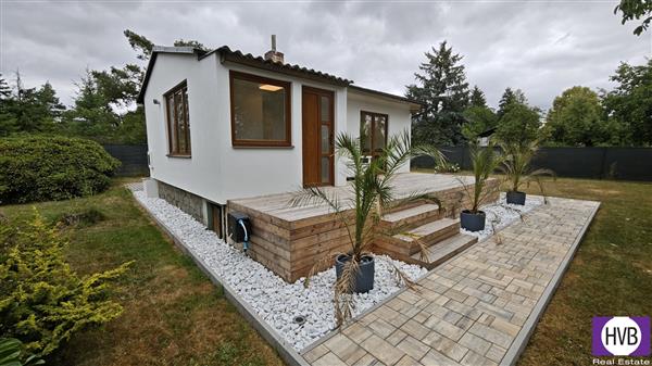 photo_6