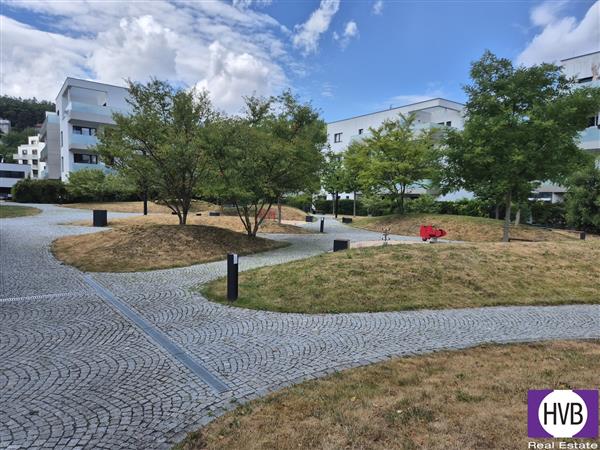 photo_12