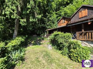 photo_6