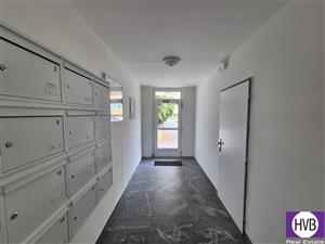 photo_6