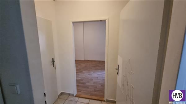 photo_15
