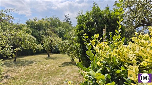 photo_2