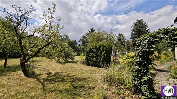 photo_2