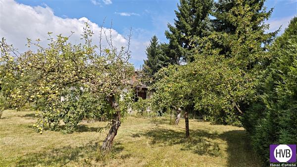 photo_16