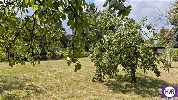 photo_17