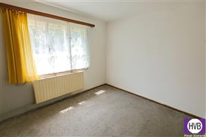 photo_5