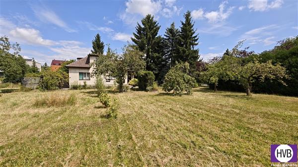 photo_4