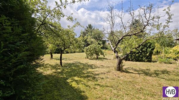photo_9