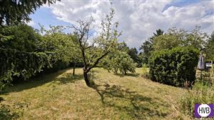 photo_5