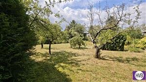 photo_9