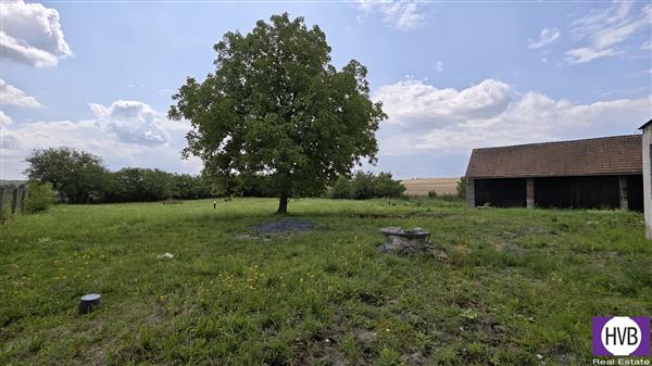 photo_14