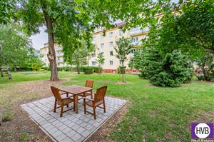 photo_4