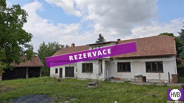 photo_1
