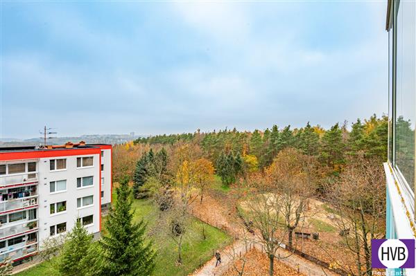 photo_8