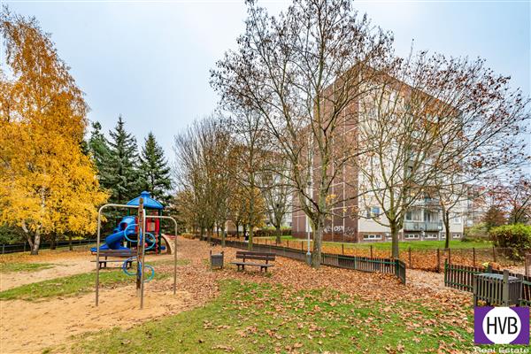 photo_17