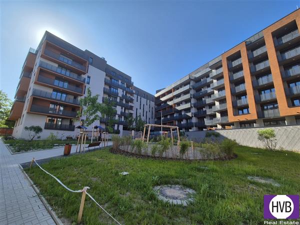 photo_3