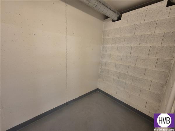 photo_6