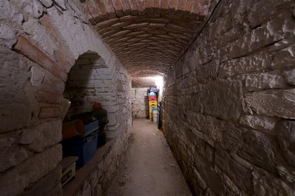 photo_19