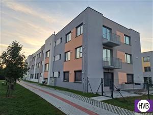 photo_1