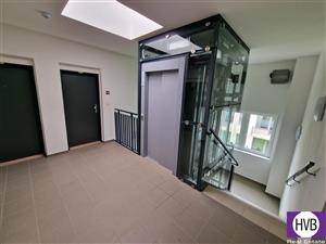 photo_5