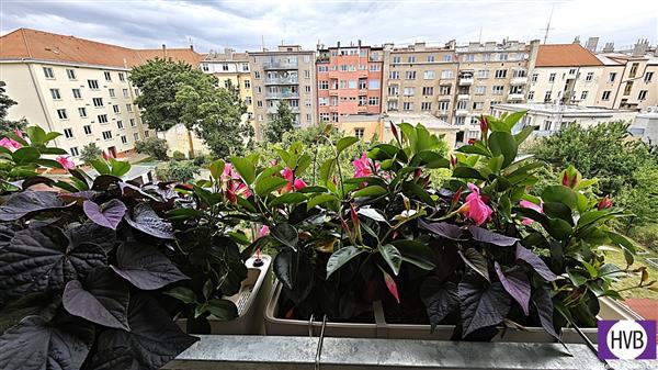photo_19