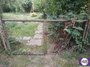 photo_2