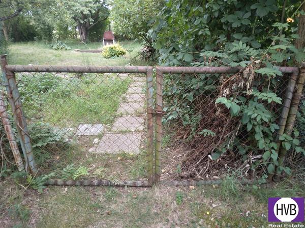 photo_2