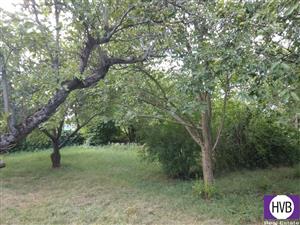 photo_3