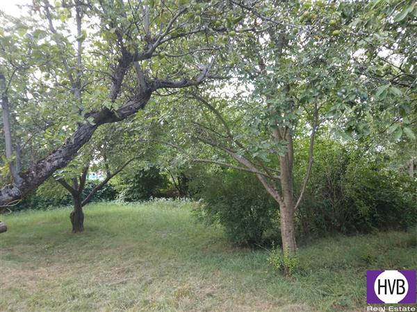 photo_3