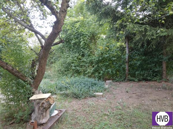 photo_4