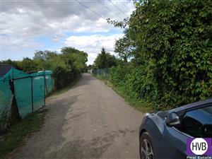 photo_1