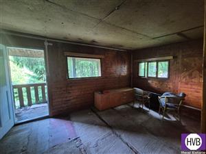 photo_4
