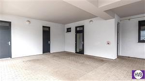 photo_7