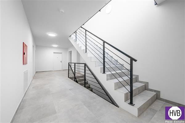 photo_15