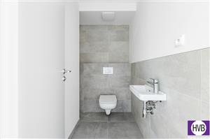 photo_7