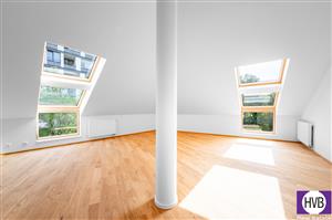 photo_1