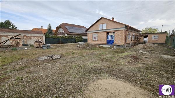 photo_8