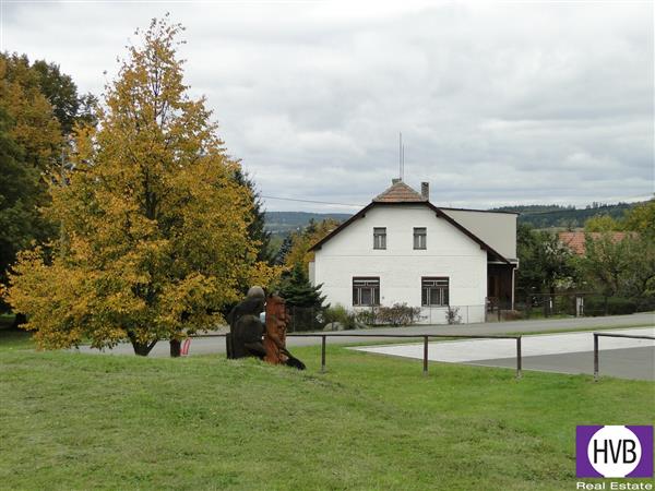 photo_1