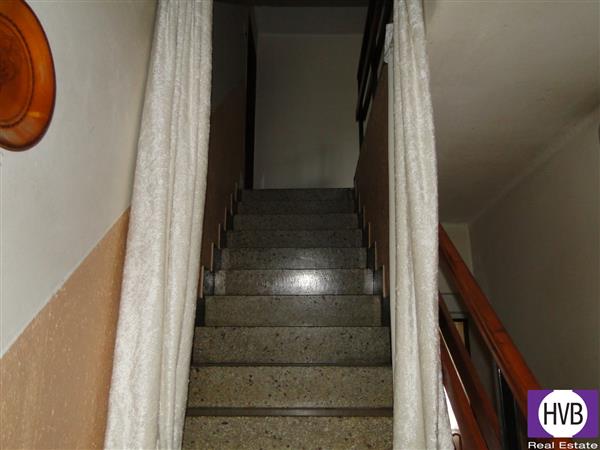 photo_7
