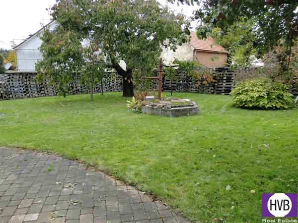 photo_12