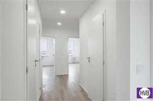 photo_3