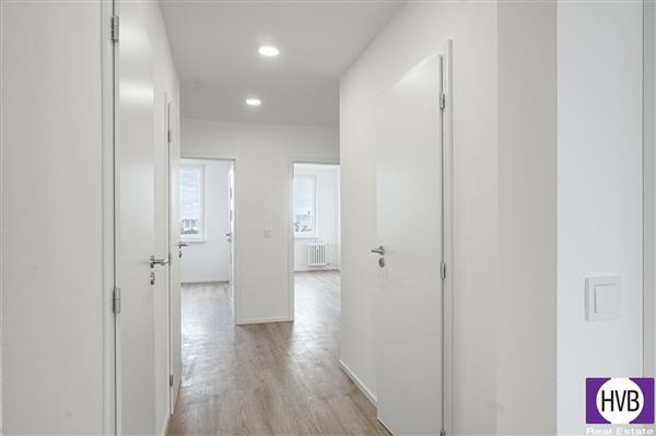 photo_3