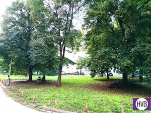 photo_3
